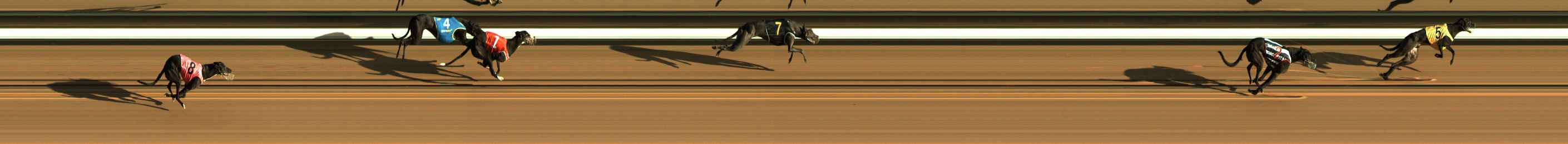 Race result finish photo